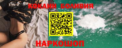 дурь Шелехов
