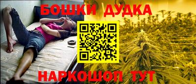дурь Шелехов