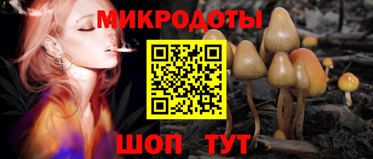 Галлюциногенные грибы мухоморы Дальнегорск