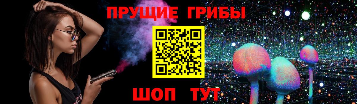 Галлюциногенные грибы Psilocybe  Псилоцибиновые грибы мухоморы  Дальнегорск  Вход с VPN 